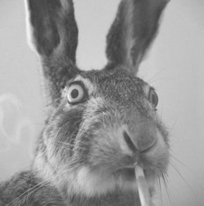 Meet your Posher, Ray